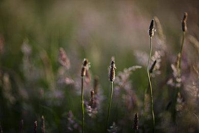 玩家吐槽《绝地潜兵2》惊现无限空投支援 官方回应明日修复